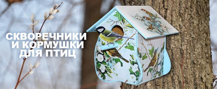Кормушки и скворечники