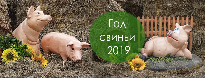 Новогодние Пожелания От Свиньи На 2021
