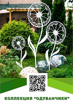 Одуванчики Одуванчики