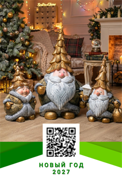 Новый год 27