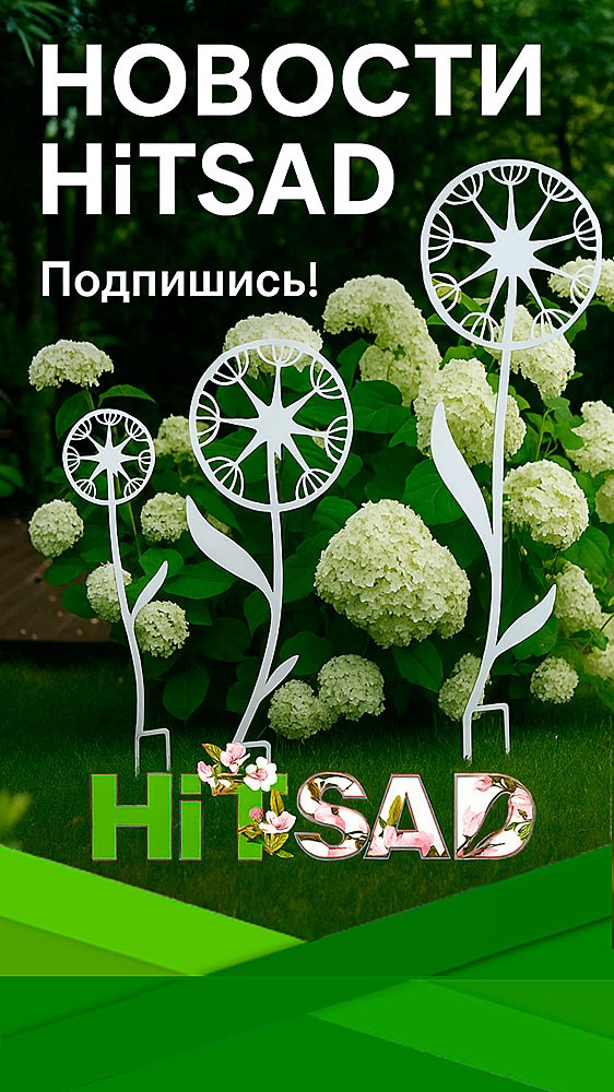 10 идей для использования кованых изделий в маленькой квартире
