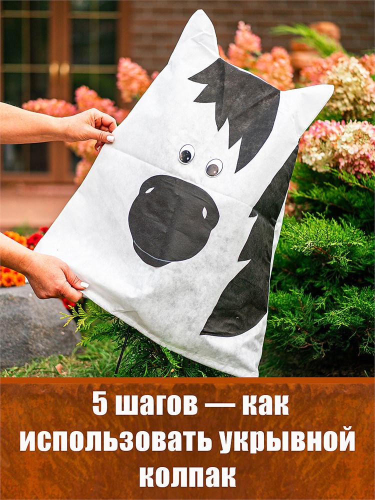 HiTSAD — где сад становится сказкой, а зима — поводом для улыбки.