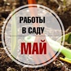 Майские работы в саду - Прямой эфир