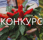 КОНКУРС - прими участие!