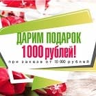 HITSAD дарит 1000 рублей!