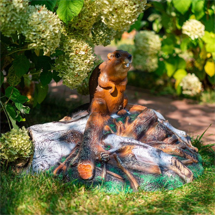 Крышка на люк