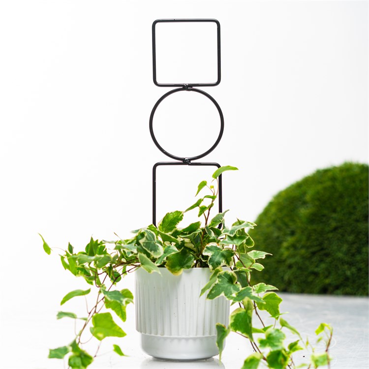 для комнатных растений