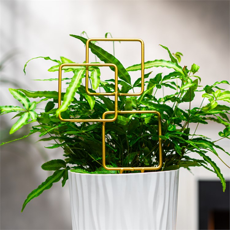 опора для комнатных растений