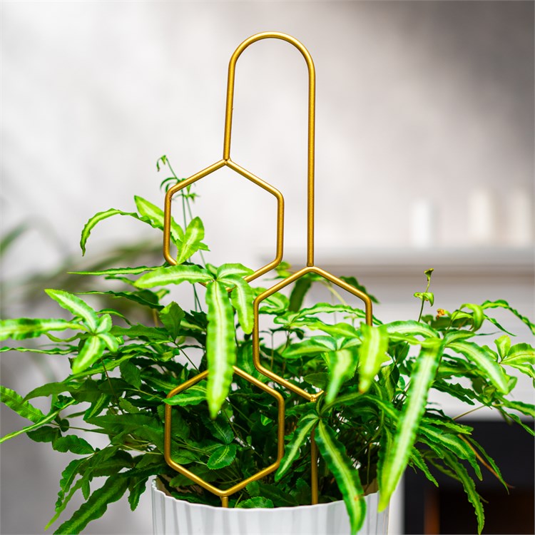 опора в золотом цвете