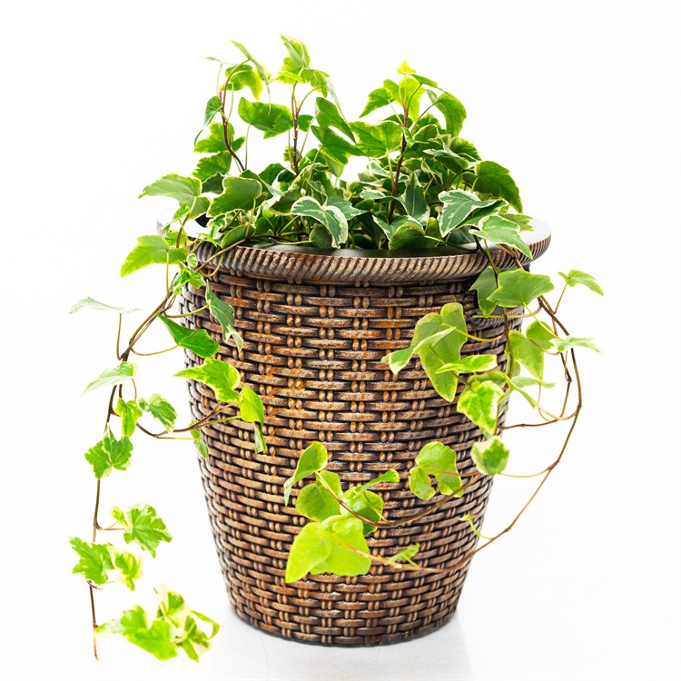 Кашпо Плетёное U09457 из полистоуна, высота 27 см, диаметр 20 см U09457 - фото 121507