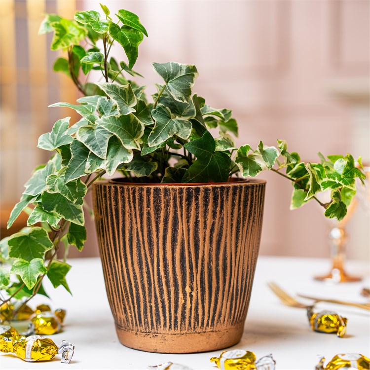 стильное кашпо