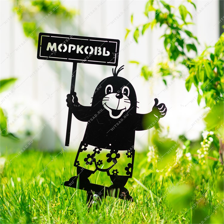 крот и морковь