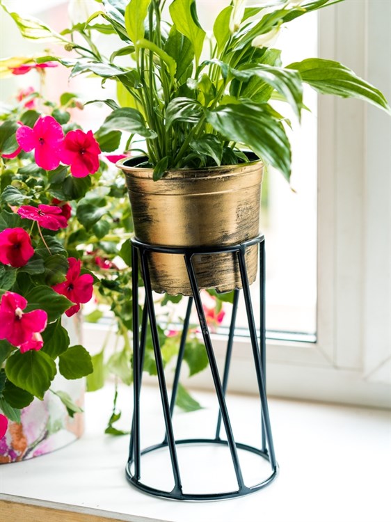 Оформление подоконника