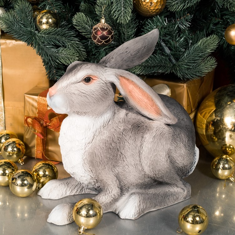 Символ 2023 года