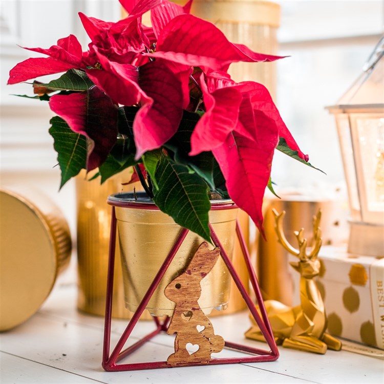 на подоконник