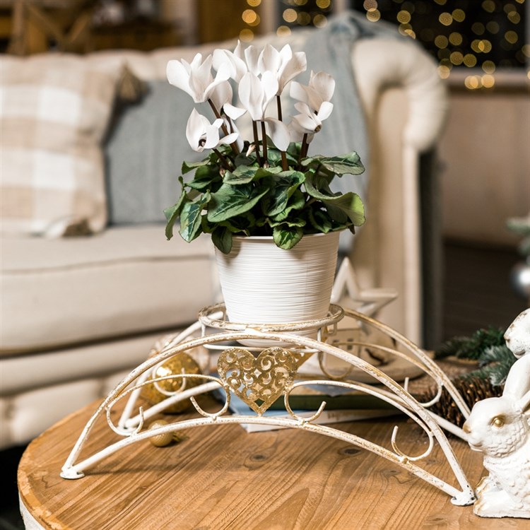 цветочница кованая