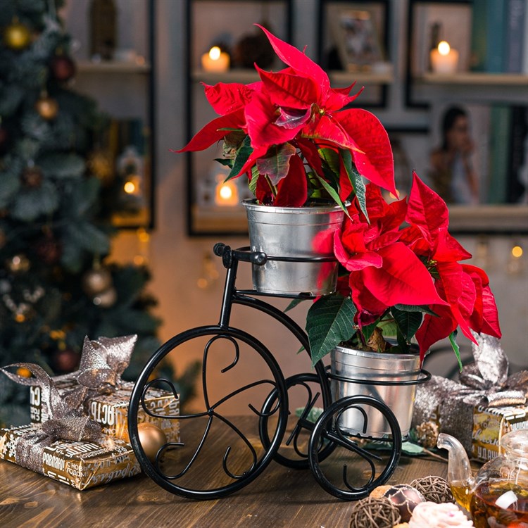 подставка на подоконник