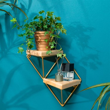 {{photo.Alt || photo.Description || 'Настенная подставка 2-х уровневая для цветов 66-502 металл и дерево'}}