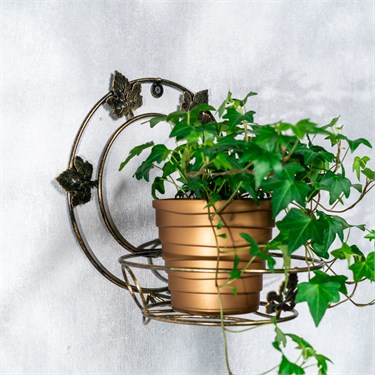 {{photo.Alt || photo.Description || 'Подставка для цветка настенная 15-101 металл'}}