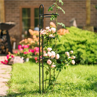 {{photo.Alt || photo.Description || 'Опора для роз 58-929 металлическая h=99см'}}