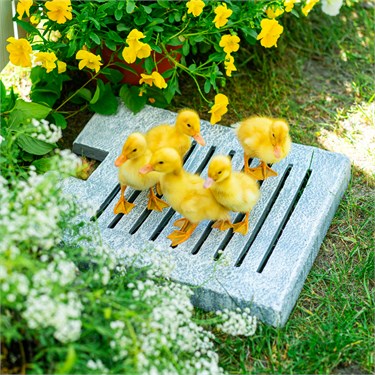 {{photo.Alt || photo.Description || 'Поддон для умывальника U09100-ВТ стеклопластик под бетон'}}