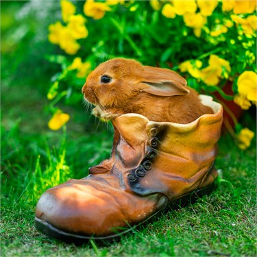 {{photo.Alt || photo.Description || 'Кашпо ботинок F04060 полистоун'}}