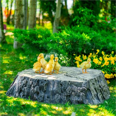 {{photo.Alt || photo.Description || 'Крышка декоративная Пень средний U07698 стеклопластик'}}