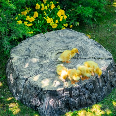{{photo.Alt || photo.Description || 'Крышка декоративная для люка Пень средний U07698 стеклопластик'}}