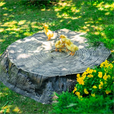 {{photo.Alt || photo.Description || 'Крышка декоративная для люка Пень большой U07699 стеклопластик, ширина 118 см'}}