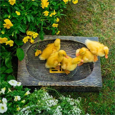 {{photo.Alt || photo.Description || 'Поддон для садовой водяной колонки U09078-Palis Хитсад'}}