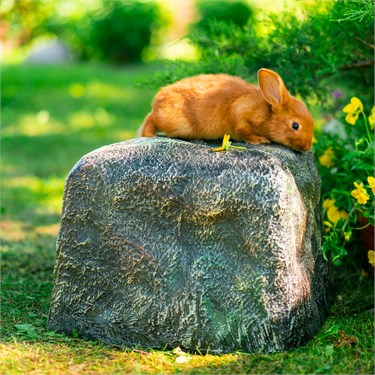 {{photo.Alt || photo.Description || 'Садовый камень из стеклопластика для дачи U09179 ширина 35 см'}}