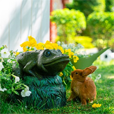 {{photo.Alt || photo.Description || 'Крышка декоративная для септика Лягушка на камне U09182 стеклопластик, ширина 30 см'}}