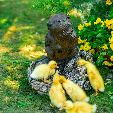 {{photo.Alt || photo.Description || 'Фонтан садовый с бобром U09236 полистоун, высота 60 см'}}