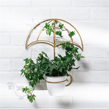 {{photo.Alt || photo.Description || 'Подставка настенная для цветов Зонт 15-811 d=12см'}}