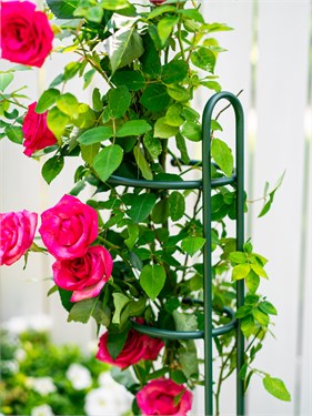 {{photo.Alt || photo.Description || 'Опора для растений 58-928Gr металл h=74 см'}}