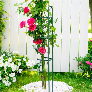 {{photo.Alt || photo.Description || 'Опора для роз 58-929 металлическая h=99см'}}