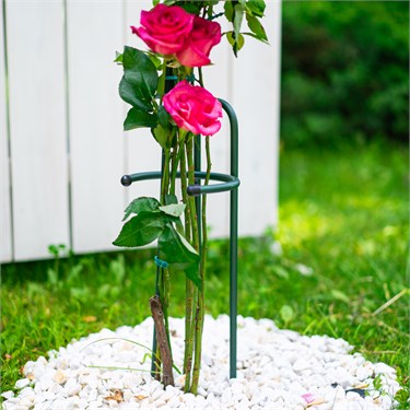 {{photo.Alt || photo.Description || 'Опора для роз металлическая 57-928 h=75 см'}}