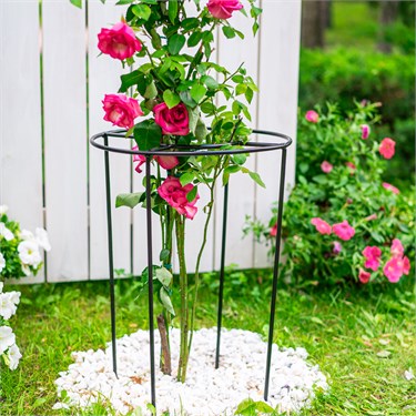 {{photo.Alt || photo.Description || 'Опора круглая металлическая для пионов 57-904 h=50 см'}}