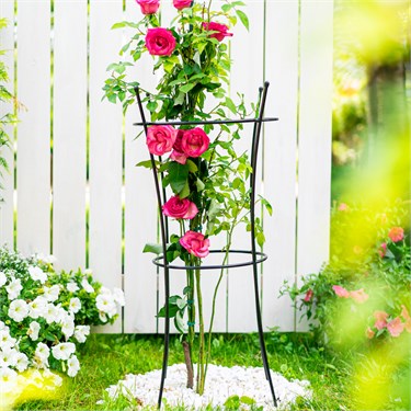 {{photo.Alt || photo.Description || 'Опора для растений металлическая круглая  57-913 h=80 см'}}