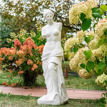 {{photo.Alt || photo.Description || 'Скульптура Венера F08052 стеклопластик высота 120 см'}}