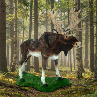 {{photo.Alt || photo.Description || 'Лось большой'}}