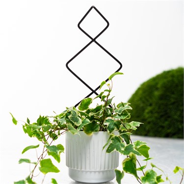 {{photo.Alt || photo.Description || 'Опора для комнатных растений 57-963 металл h=38 см'}}