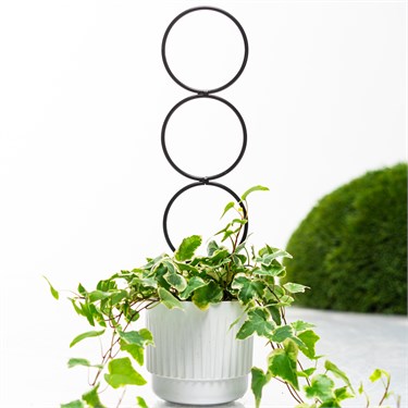 {{photo.Alt || photo.Description || 'Опора для комнатных растений 57-966 металл h=43 см'}}