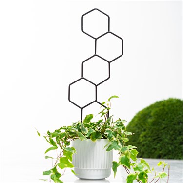 {{photo.Alt || photo.Description || 'Опора для комнатных растений 57-968 металл h=50 см'}}