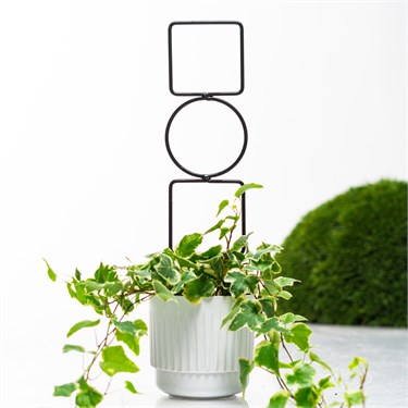 {{photo.Alt || photo.Description || 'Опора для комнатных растений 57-967 металл h=42 см'}}