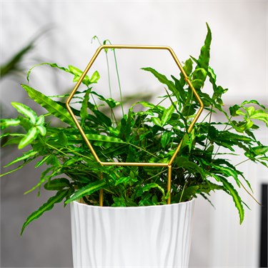 {{photo.Alt || photo.Description || 'Опора для растений 57-933 h=35 см'}}