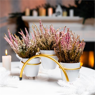 {{photo.Alt || photo.Description || 'Подставка для цветов на подоконник 41-001'}}