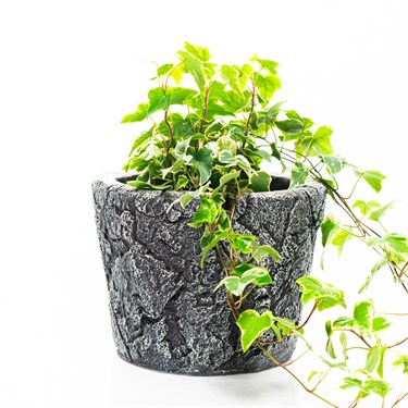 {{photo.Alt || photo.Description || 'Кашпо под мрамор для растений U09446 из полистоуна, высота 19 см, диаметр 15 см'}}