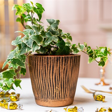 {{photo.Alt || photo.Description || 'Кашпо для растений Волна U09424 полистоун высота 14см'}}