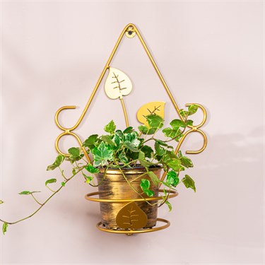 {{photo.Alt || photo.Description || 'Подставка настенная для одного растения 150-220R со съёмной корзиной'}}